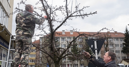 Akiknek a város szépítése a feladatuk